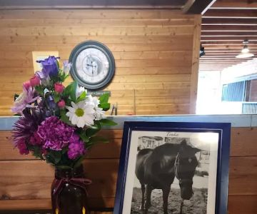 Equine Innovative Medicine