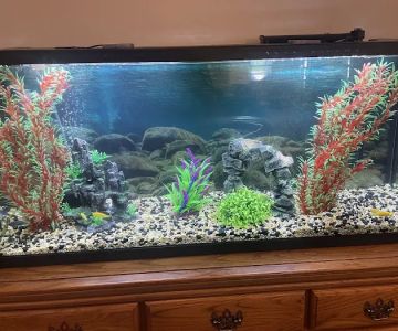 Preferred Aquatics