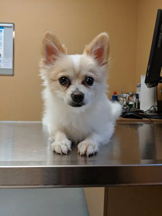 North Creek Pet Hospital 7
