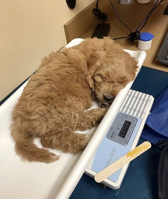 North Creek Pet Hospital 8