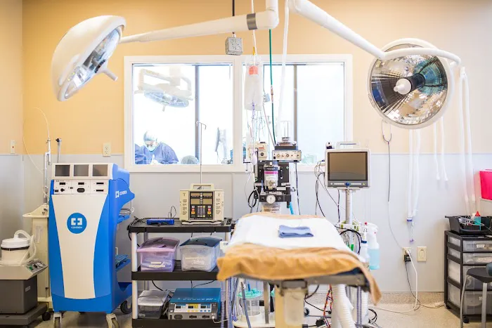 Veterinary Specialty Center of Seattle 12