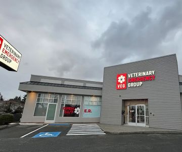Veterinary Emergency Group