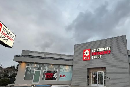 Veterinary Emergency Group