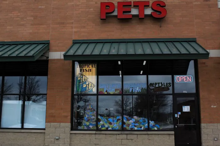 Fins & Filters -Pet Suppliers 8