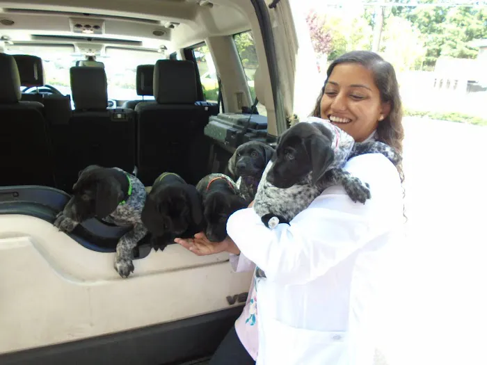 Lynnwood Animal Hospital 12