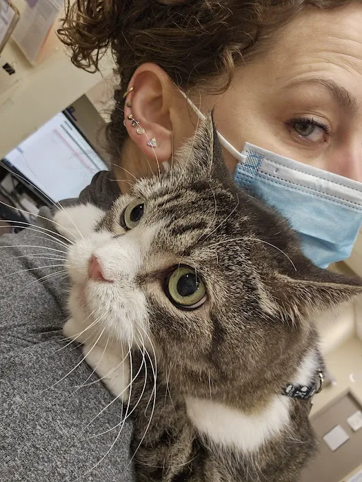 VCA Alderwood Companion Animal Hospital 12