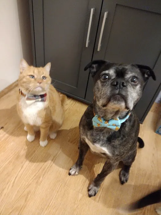 Banfield Pet Hospital 12