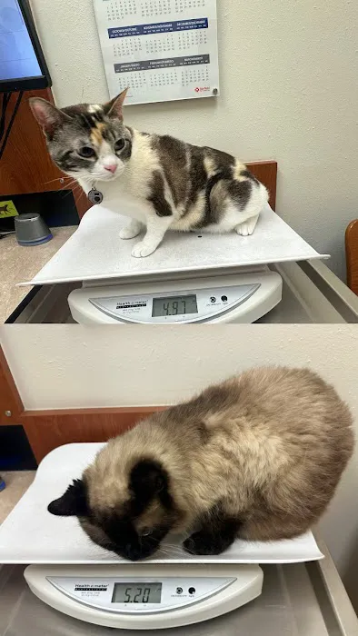 Banfield Pet Hospital 12