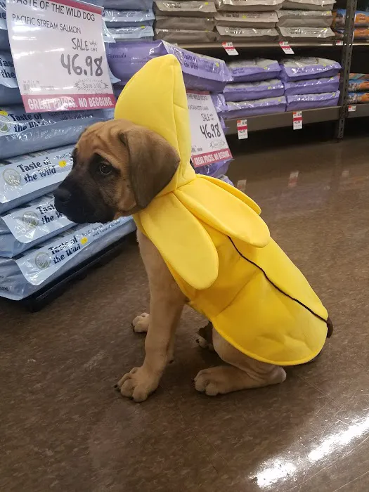 Pet Supplies Plus Southgate 8