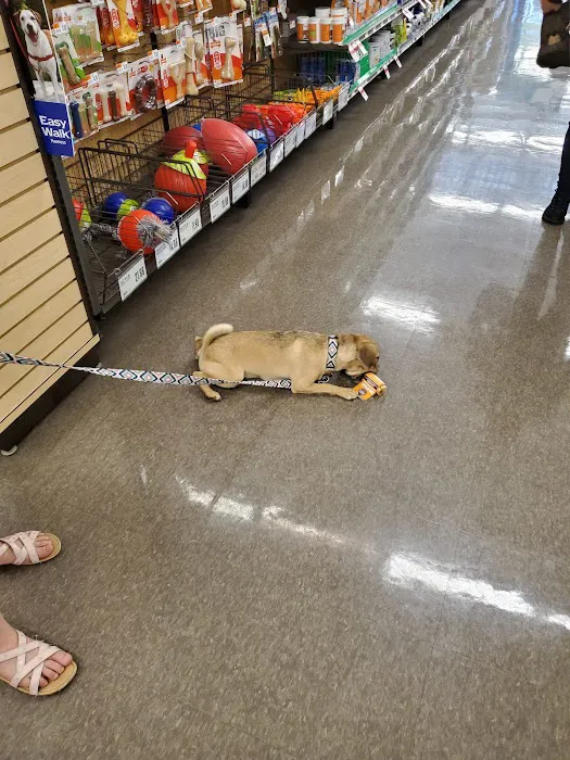 Pet Supplies Plus Southgate 3