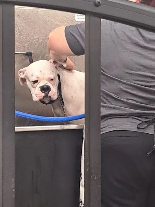 Pet Supplies Plus Southgate 5