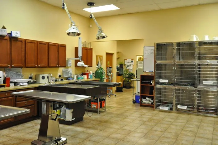 Helping Hands Veterinary Clinic 12