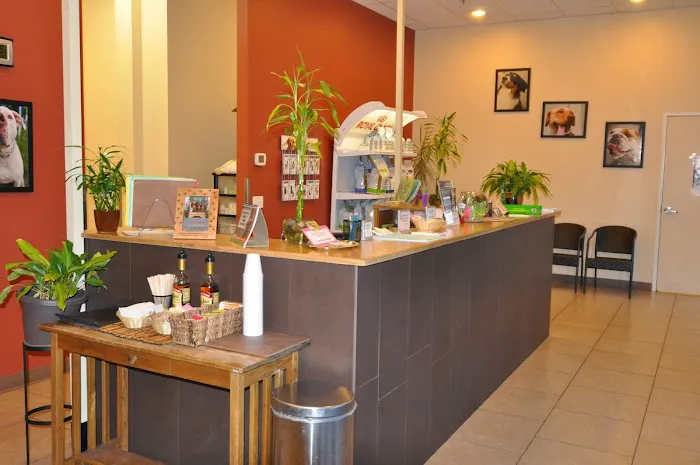 Helping Hands Veterinary Clinic 12