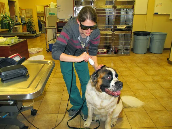Helping Hands Veterinary Clinic 12