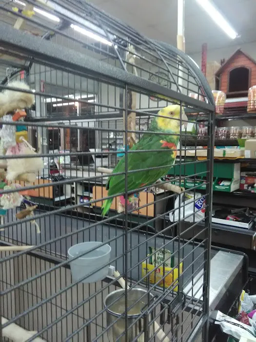 I Love My Pets 2