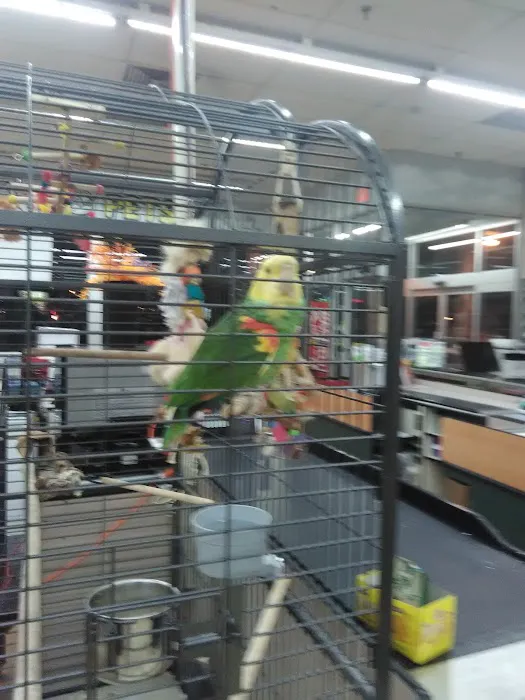 I Love My Pets 3