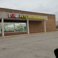 I Love My Pets ico
