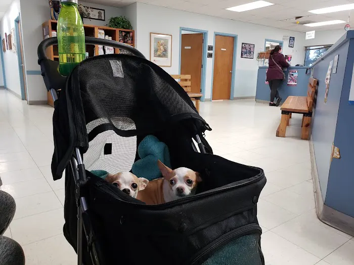 My Pet's Veterinary Urgent Care and Wellness 12