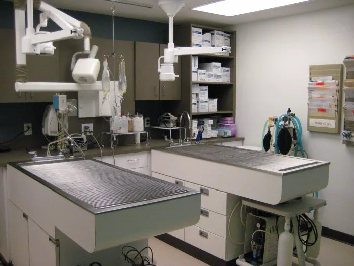 VCA Rose Hill Animal Hospital 12