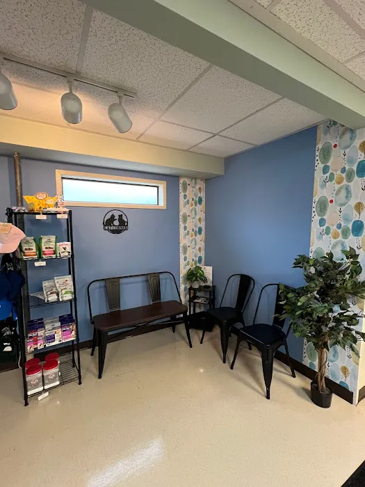 VCA Rose Hill Animal Hospital 12