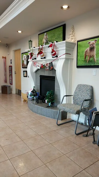 Northwest Animal Eye Specialists 12