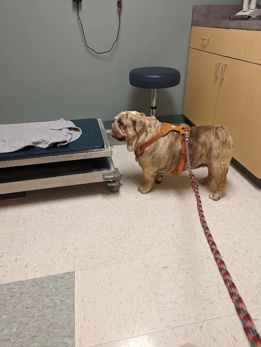 Northwest Animal Eye Specialists 12
