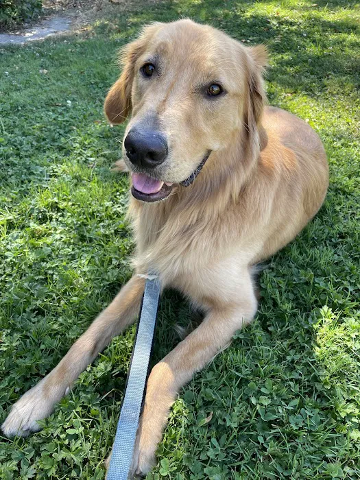 L&L Animal Urgent Care 12