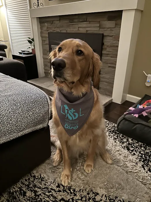 L&L Animal Urgent Care 12