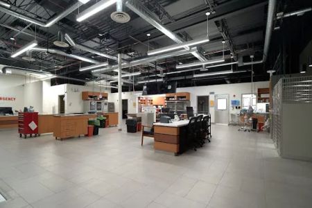 Veterinary Emergency Group