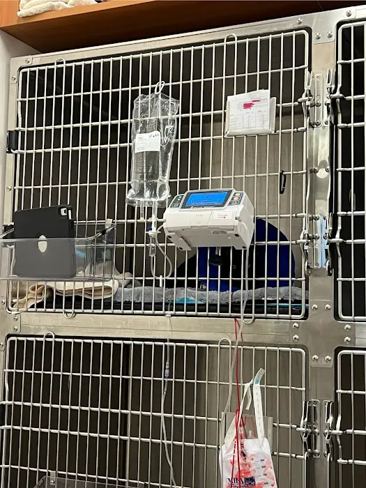 Veterinary Emergency Group 12