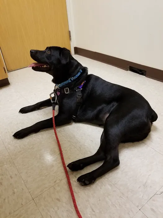 Perrinville Animal Hospital 12