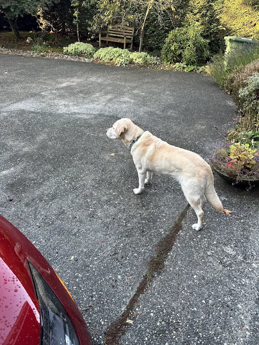 Perrinville Animal Hospital 12