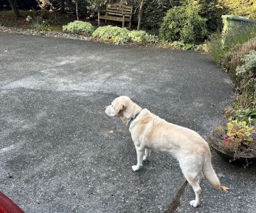 Perrinville Animal Hospital