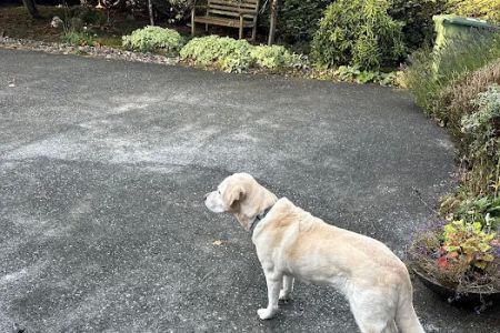 Perrinville Animal Hospital