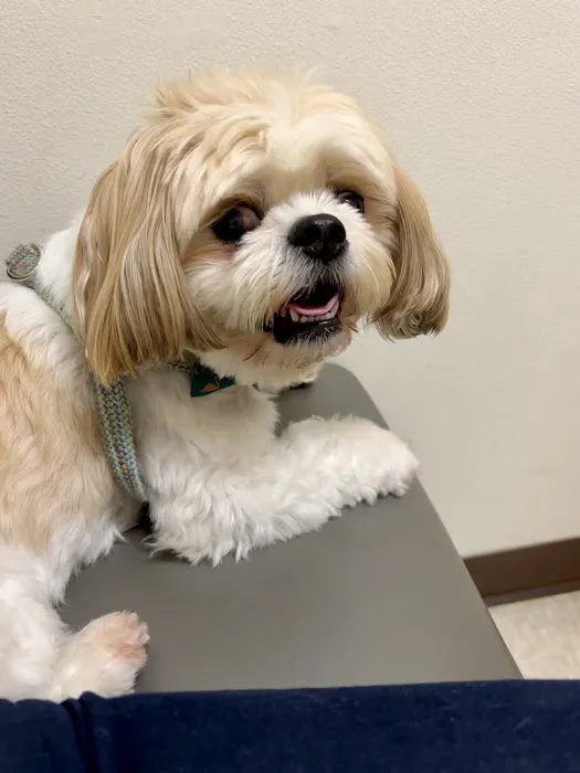 Perrinville Animal Hospital 12