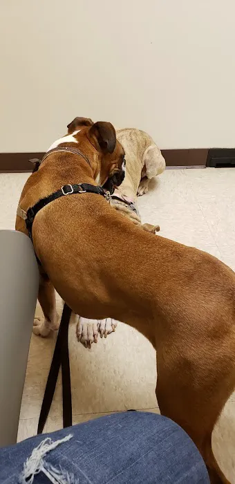 Perrinville Animal Hospital 12