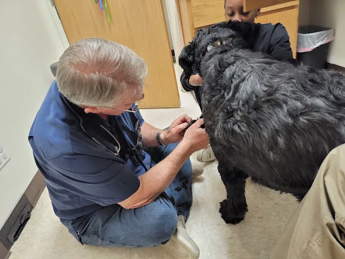 Perrinville Animal Hospital 12