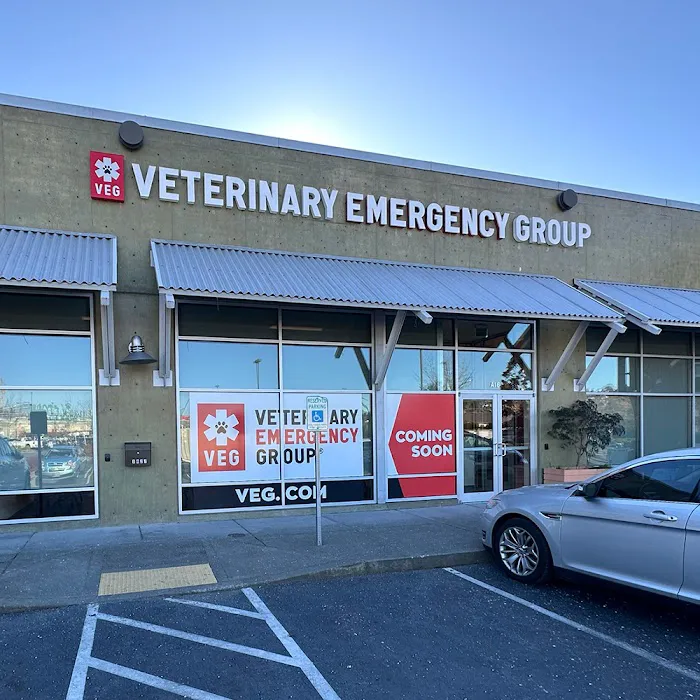 Veterinary Emergency Group 12