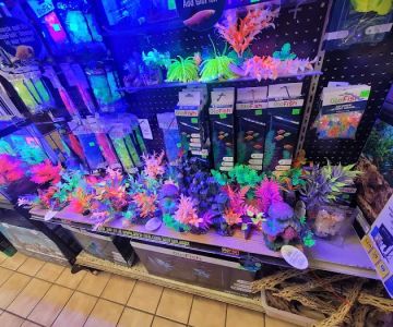 Moby Dick Pet Store Inc