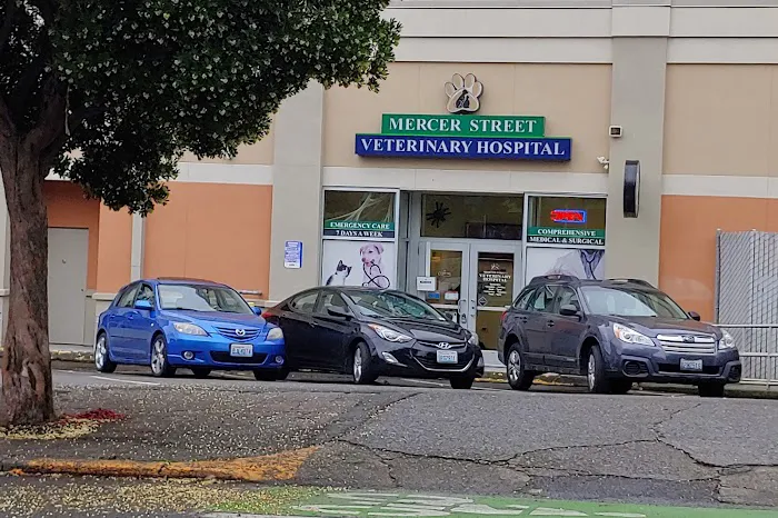 Mercer Street Veterinary Hospital 12