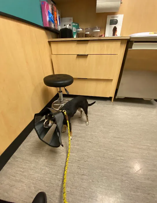 Mercer Street Veterinary Hospital 12