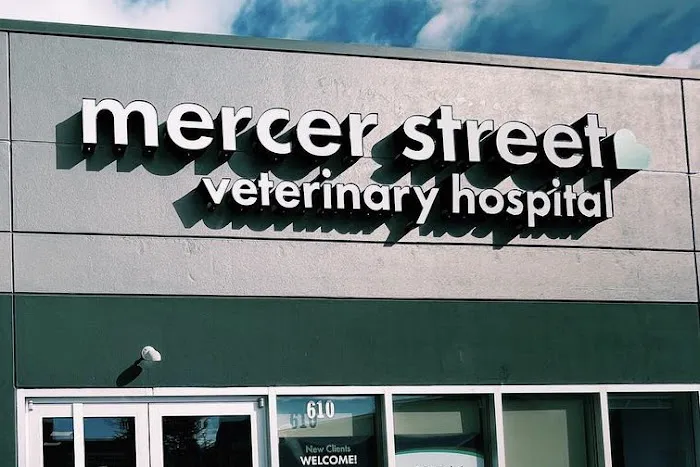 Mercer Street Veterinary Hospital 12
