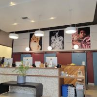Urban Animal By Appointment ico