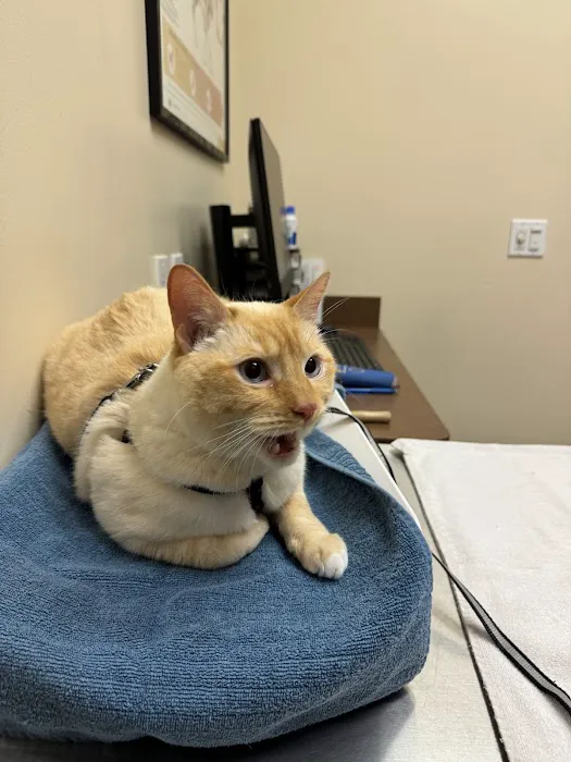 Lake Union Veterinary Clinic 12