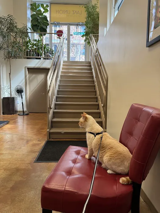 Lake Union Veterinary Clinic 12