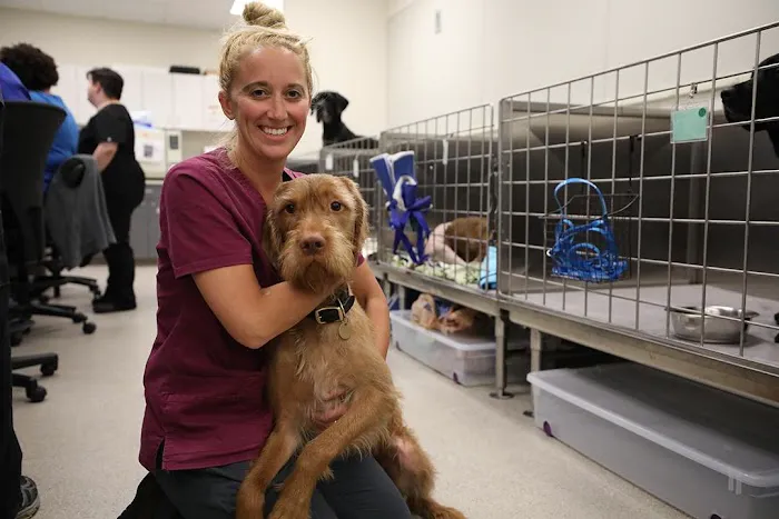 BluePearl Pet Hospital Downtown Seattle 12