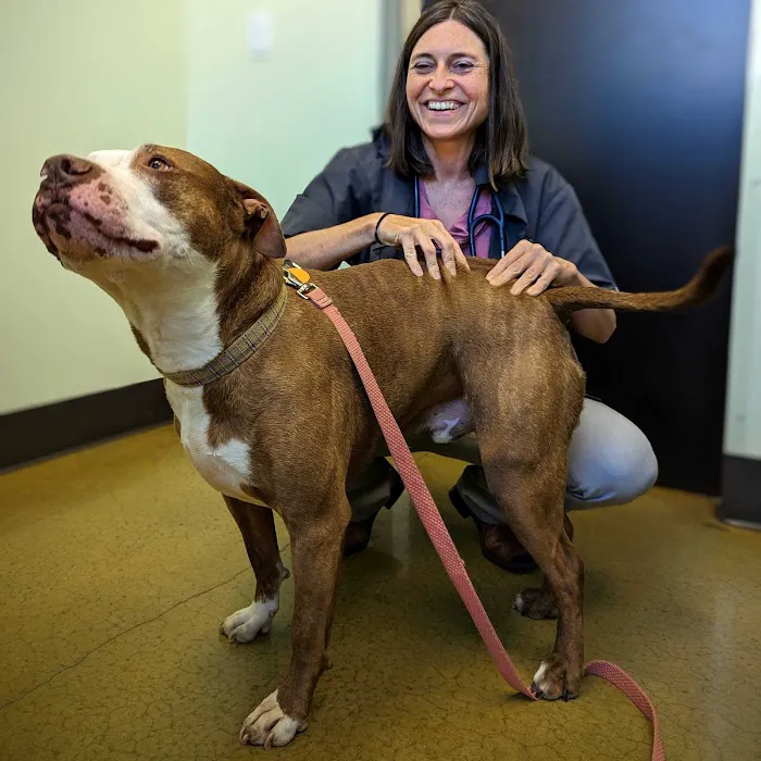 Rainier Veterinary Hospital 12