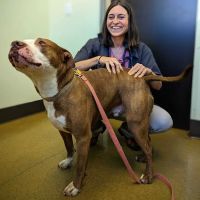 Rainier Veterinary Hospital ico