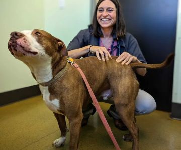 Rainier Veterinary Hospital