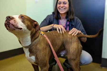 Rainier Veterinary Hospital
